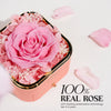 Preserved Roses Gift Jewerlry Box, Real Eternal Rose Flower with Necklace, Gifts for Girlfriend, Mom, Women, Wife, Birthday and Valentine'S Day (Pink)